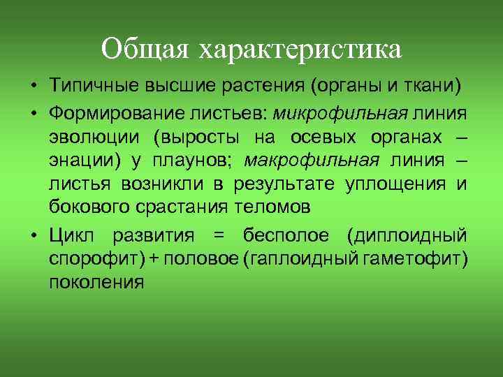 Общая характеристика • Типичные высшие растения (органы и ткани) • Формирование листьев: микрофильная линия