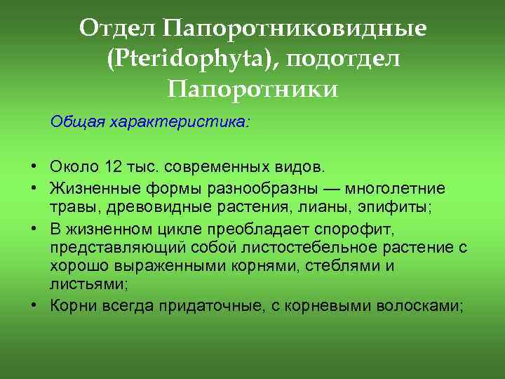Отдел Папоротниковидные (Pteridophyta), подотдел Папоротники Общая характеристика: • Около 12 тыс. современных видов. •