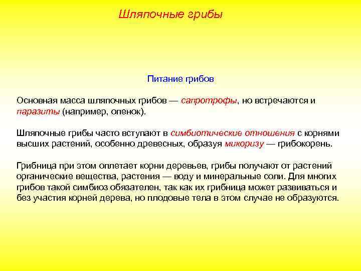 Шляпочные грибы Питание грибов Основная масса шляпочных грибов — сапротрофы, но встречаются и паразиты