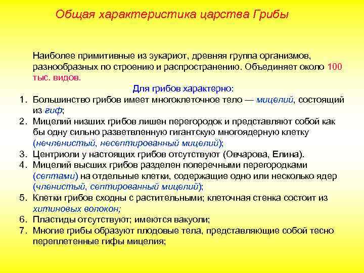 Общая характеристика царства Грибы 1. 2. 3. 4. 5. 6. 7. Наиболее примитивные из
