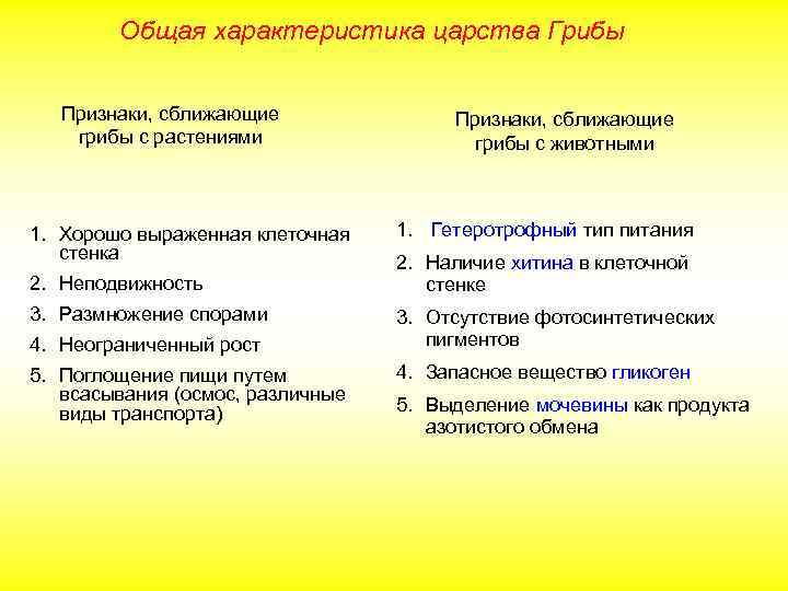 Общая характеристика царства Грибы Признаки, сближающие грибы с растениями 1. Хорошо выраженная клеточная стенка