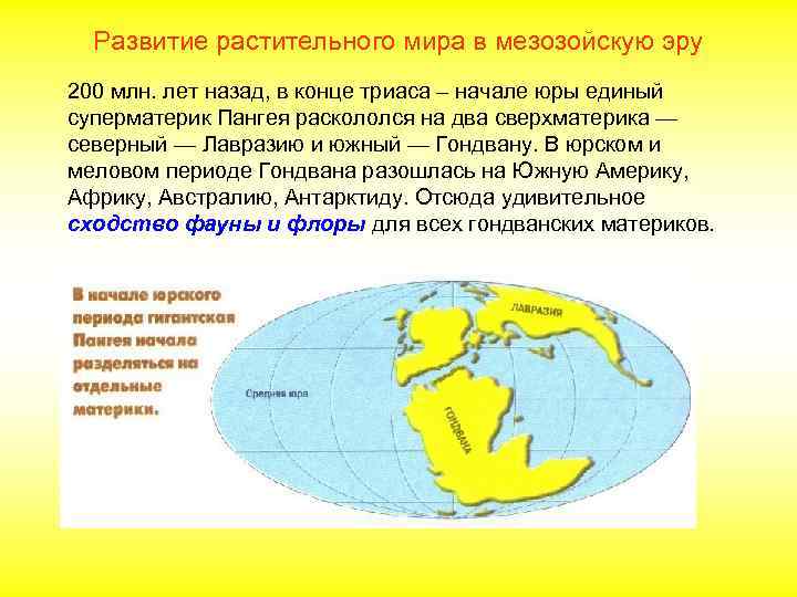 Развитие растительного мира в мезозойскую эру 200 млн. лет назад, в конце триаса –