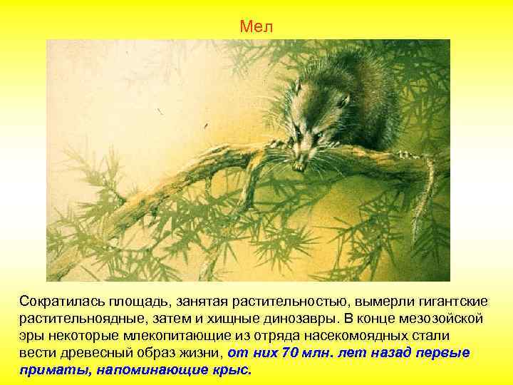 Мел Сократилась площадь, занятая растительностью, вымерли гигантские растительноядные, затем и хищные динозавры. В конце