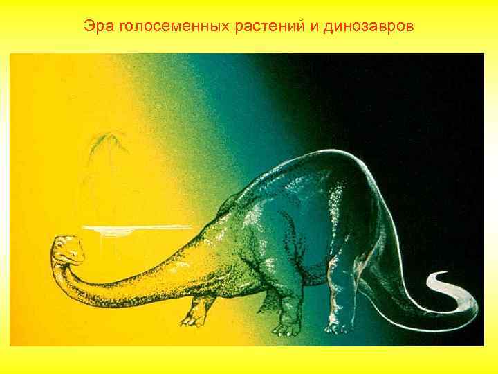 Эра голосеменных растений и динозавров 