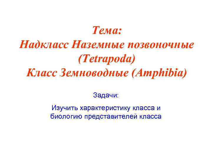 Тема: Надкласс Наземные позвоночные (Tetrapoda) Класс Земноводные (Amphibia) Задачи: Изучить характеристику класса и биологию