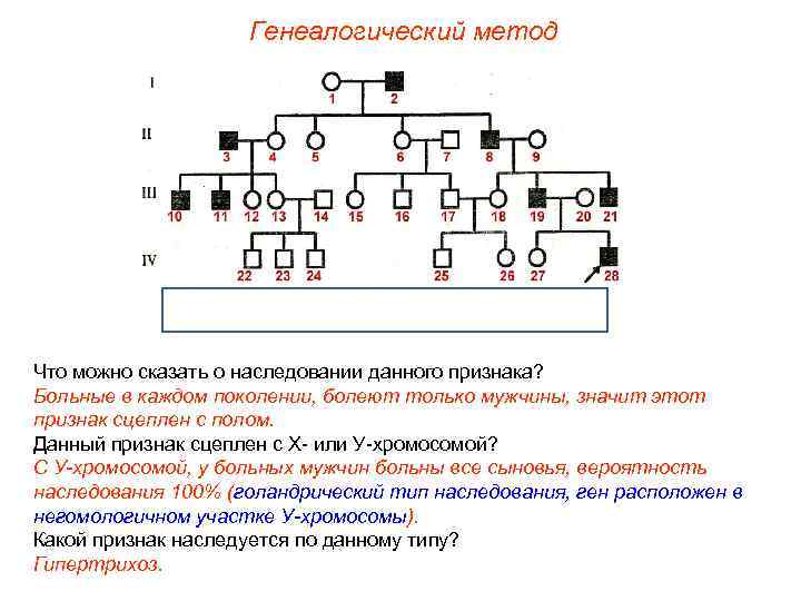 Генеалогический метод Что можно сказать о наследовании данного признака? Больные в каждом поколении, болеют