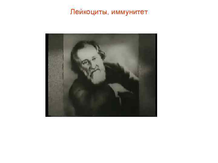 Лейкоциты, иммунитет 