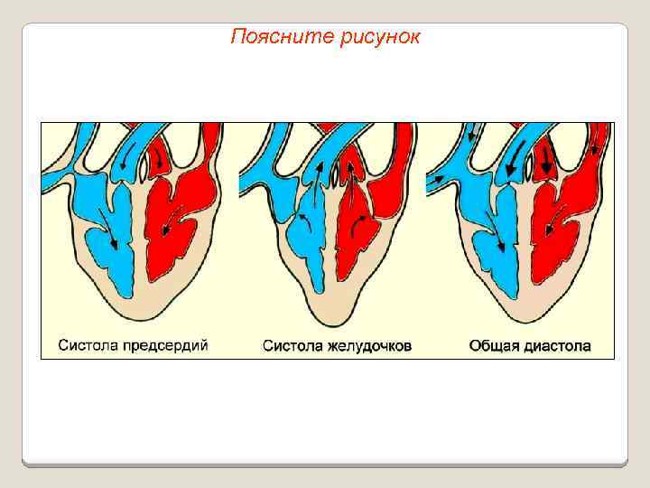Поясните рисунок 