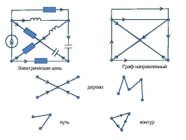 Граф направленный Электрическая цепь дерево путь контур 