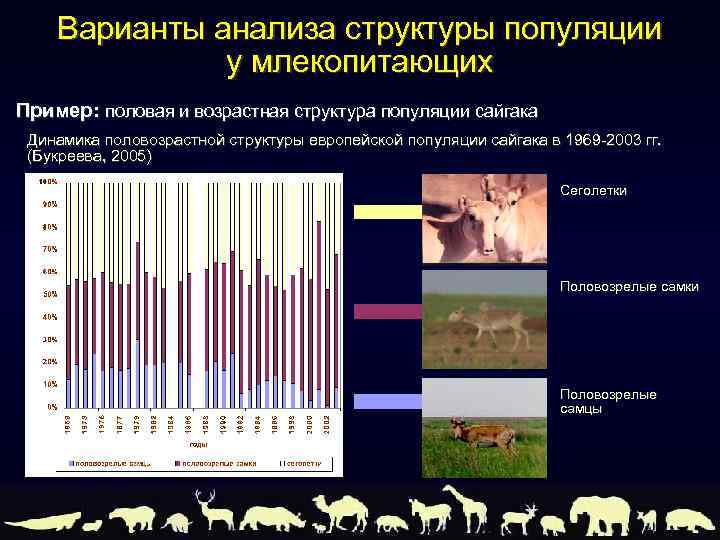 Варианты анализа структуры популяции у млекопитающих Пример: половая и возрастная структура популяции сайгака Динамика