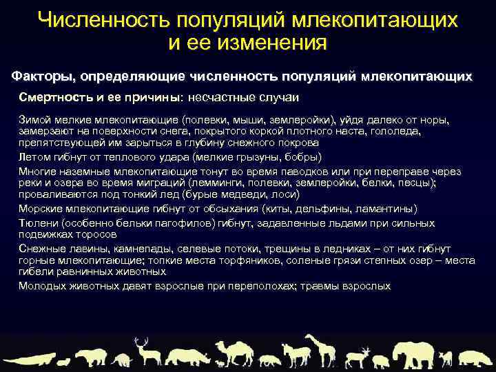 Численность популяций млекопитающих и ее изменения Факторы, определяющие численность популяций млекопитающих Смертность и ее