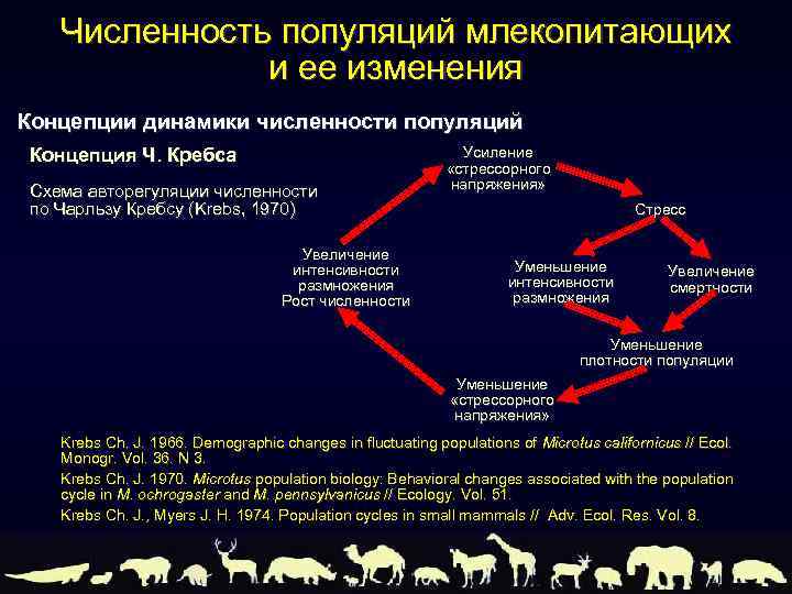 Численность популяций млекопитающих и ее изменения Концепции динамики численности популяций Концепция Ч. Кребса Схема