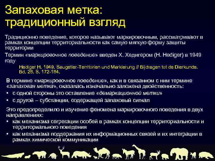 Запаховая метка: традиционный взгляд Традиционно поведение, которое называют маркировочным, рассматривают в рамках концепции территориальности