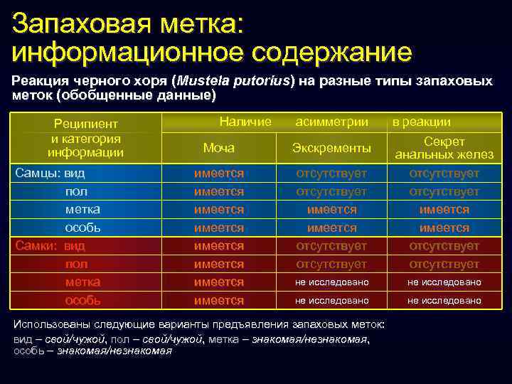 Запаховая метка: информационное содержание Реакция черного хоря (Mustela putorius) на разные типы запаховых меток