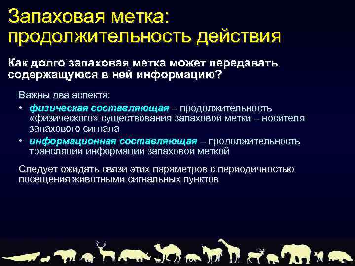 Запаховая метка: продолжительность действия Как долго запаховая метка может передавать содержащуюся в ней информацию?