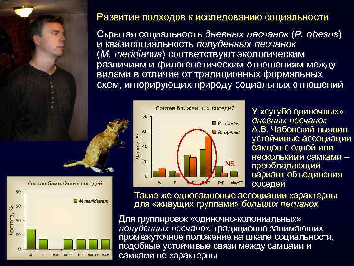 Развитие подходов к исследованию социальности Скрытая социальность дневных песчанок (P. obesus) и квазисоциальность полуденных