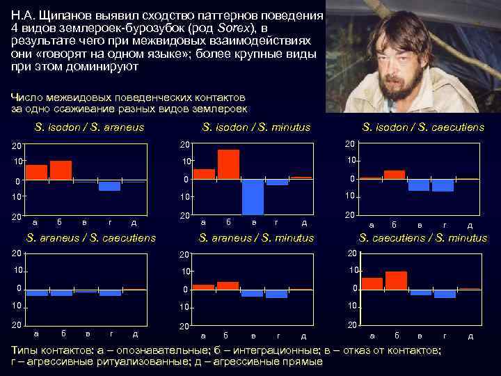 Н. А. Щипанов выявил сходство паттернов поведения 4 видов землероек-бурозубок (род Sorex), в результате