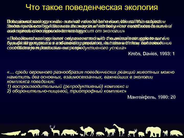 Что такое поведенческая экология Поведенческая экология – «вклад поведения в выживание. this subject Behavioural