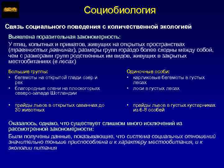 Социобиология Связь социального поведения с количественной экологией Выявлена поразительная закономерность: У птиц, копытных и