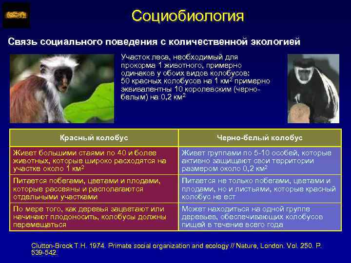 Социобиология Связь социального поведения с количественной экологией Участок леса, необходимый для прокорма 1 животного,