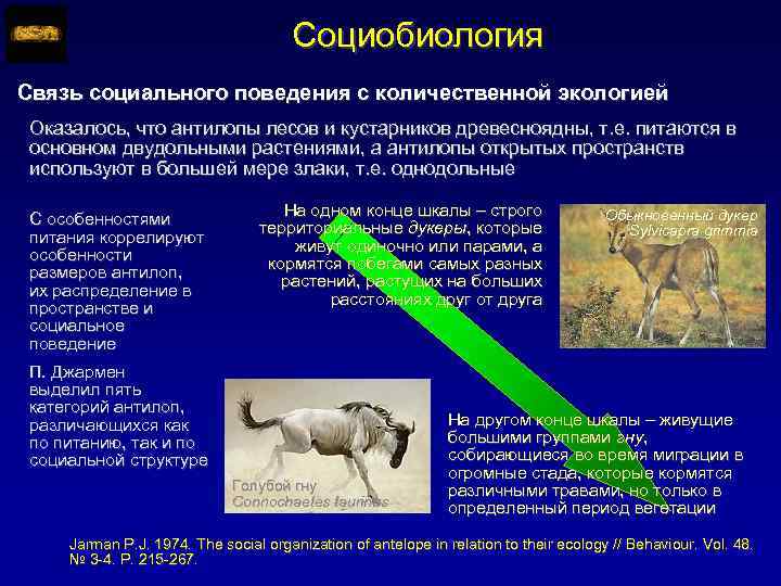 Социобиология Связь социального поведения с количественной экологией Оказалось, что антилопы лесов и кустарников древесноядны,