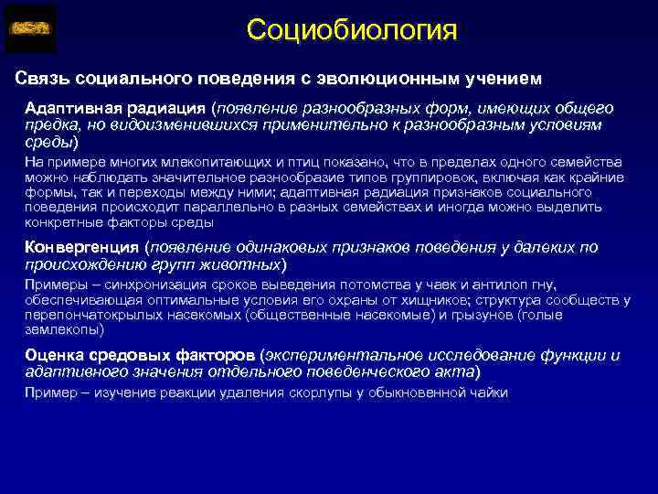 Социобиология Связь социального поведения с эволюционным учением Адаптивная радиация (появление разнообразных форм, имеющих общего