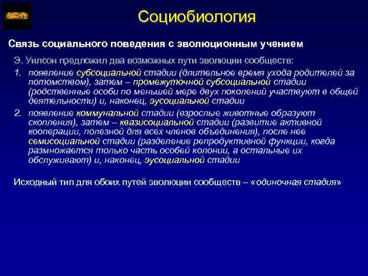 Социобиология Связь социального поведения с эволюционным учением Э. Уилсон предложил два возможных пути эволюции