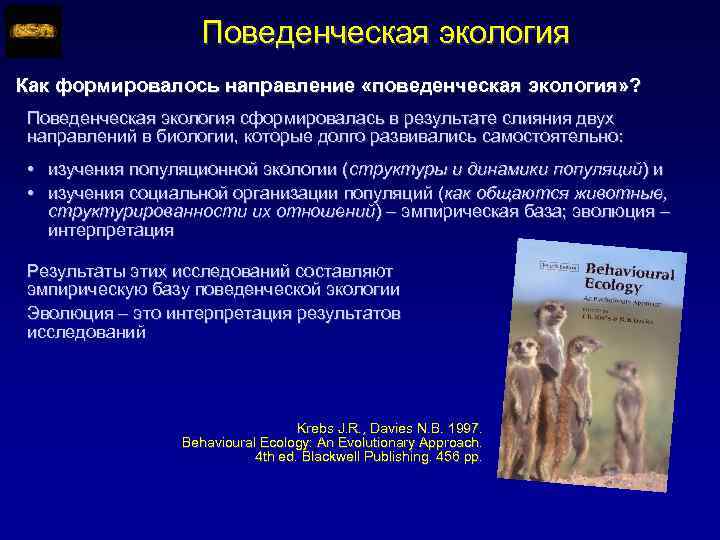 Поведенческая экология Как формировалось направление «поведенческая экология» ? Поведенческая экология сформировалась в результате слияния