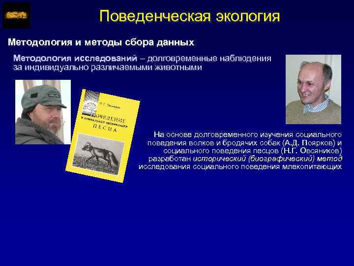 Поведенческая экология Методология и методы сбора данных Методология исследований – долговременные наблюдения за индивидуально