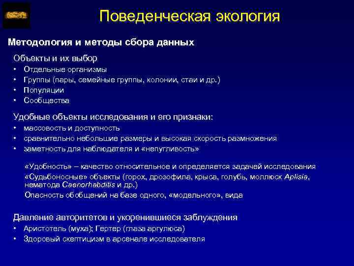 Поведенческая экология Методология и методы сбора данных Объекты и их выбор • • Отдельные