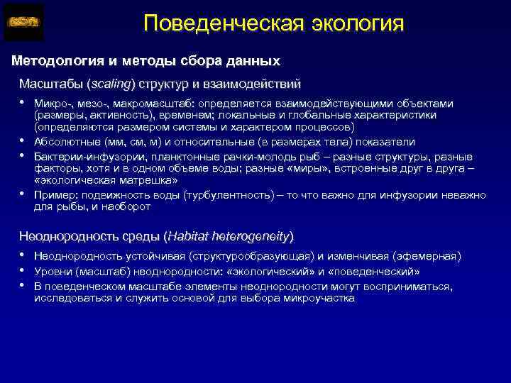 Поведенческая экология Методология и методы сбора данных Масштабы (scaling) структур и взаимодействий • •