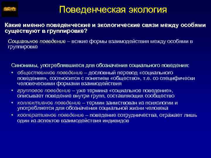 Поведенческая экология Какие именно поведенческие и экологические связи между особями существуют в группировке? Социальное