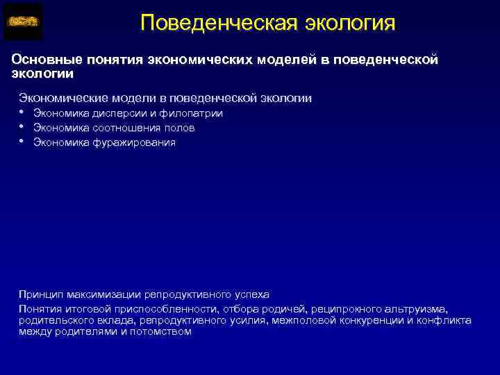 Поведенческая экология Основные понятия экономических моделей в поведенческой экологии Экономические модели в поведенческой экологии