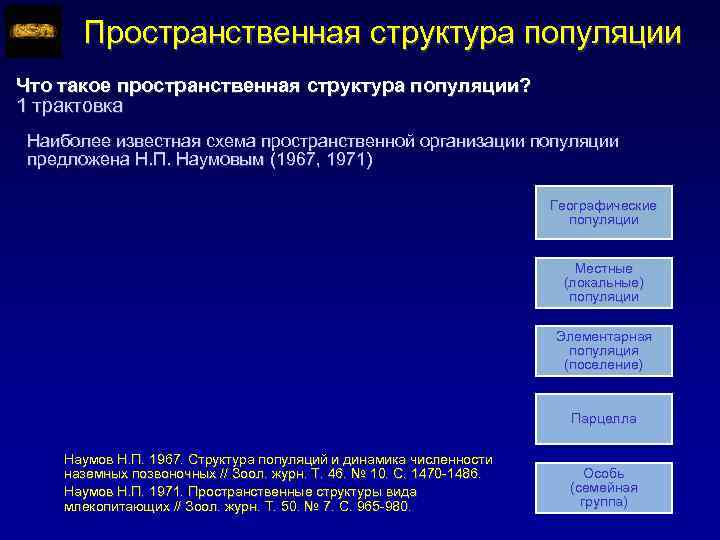 Пространственная структура популяции Что такое пространственная структура популяции? 1 трактовка Наиболее известная схема пространственной