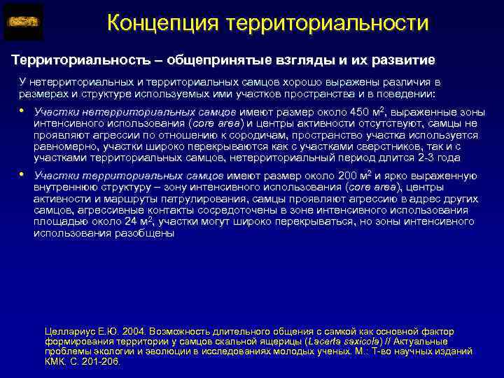 Концепция территориальности Территориальность – общепринятые взгляды и их развитие У нетерриториальных и территориальных самцов