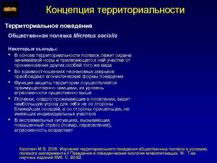 Концепция территориальности Территориальное поведение Общественная полевка Microtus socialis Некоторые выводы: • В основе территориальности