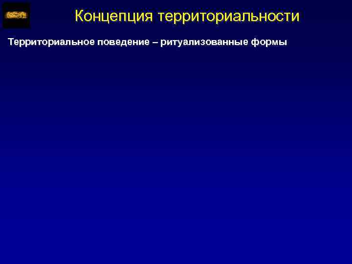 Концепция территориальности Территориальное поведение – ритуализованные формы 