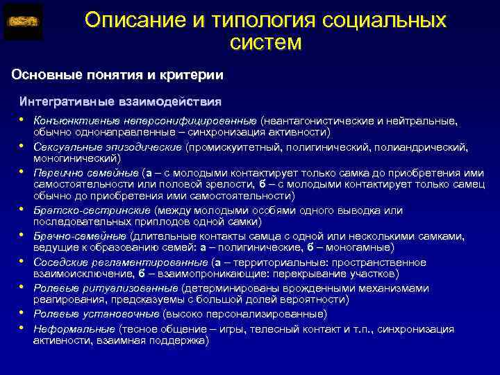Описание и типология социальных систем Основные понятия и критерии Интегративные взаимодействия • • •