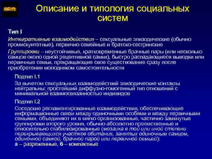 Описание и типология социальных систем Тип I Интегративные взаимодействия – сексуальные эпизодические (обычно промискуитетные),