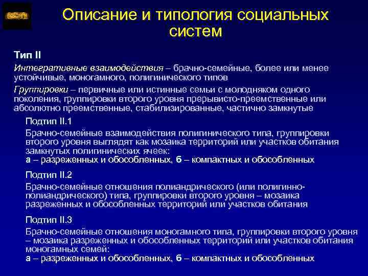 Описание и типология социальных систем Тип II Интегративные взаимодействия – брачно-семейные, более или менее