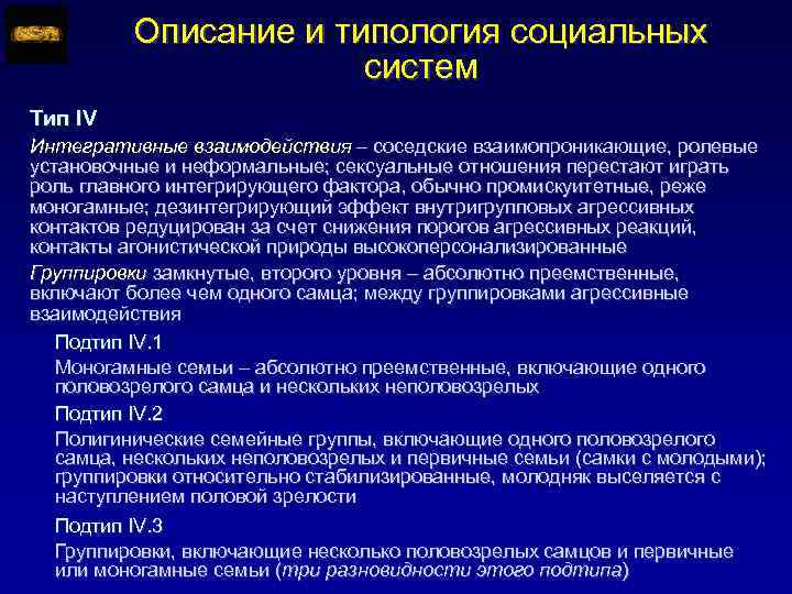 Описание и типология социальных систем Тип IV Интегративные взаимодействия – соседские взаимопроникающие, ролевые установочные