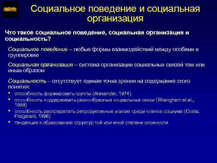Социальное поведение и социальная организация Что такое социальное поведение, социальная организация и социальность? Социальное