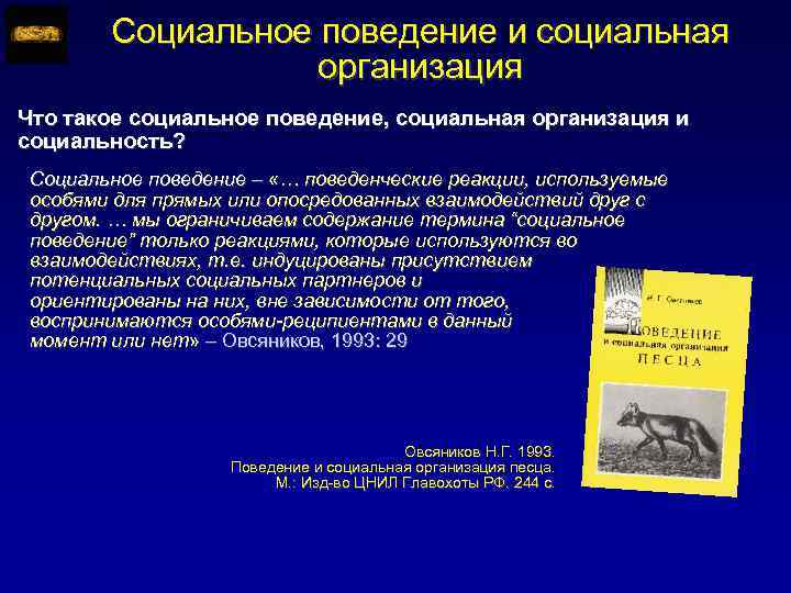 Социальное поведение и социальная организация Что такое социальное поведение, социальная организация и социальность? Социальное