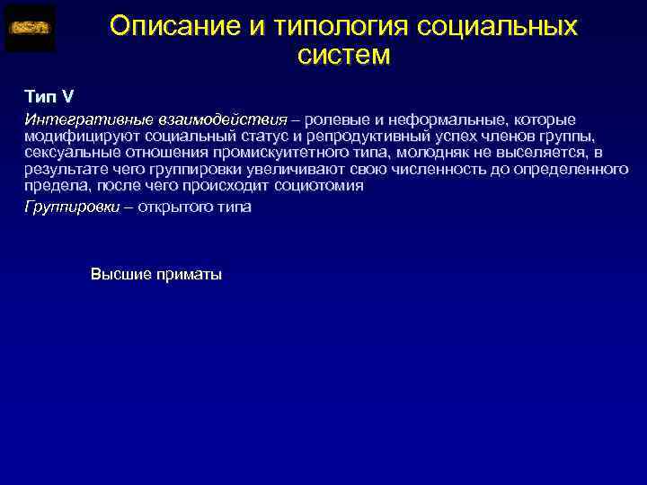Описание и типология социальных систем Тип V Интегративные взаимодействия – ролевые и неформальные, которые
