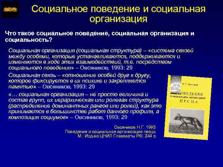 Социальное поведение и социальная организация Что такое социальное поведение, социальная организация и социальность? Социальная