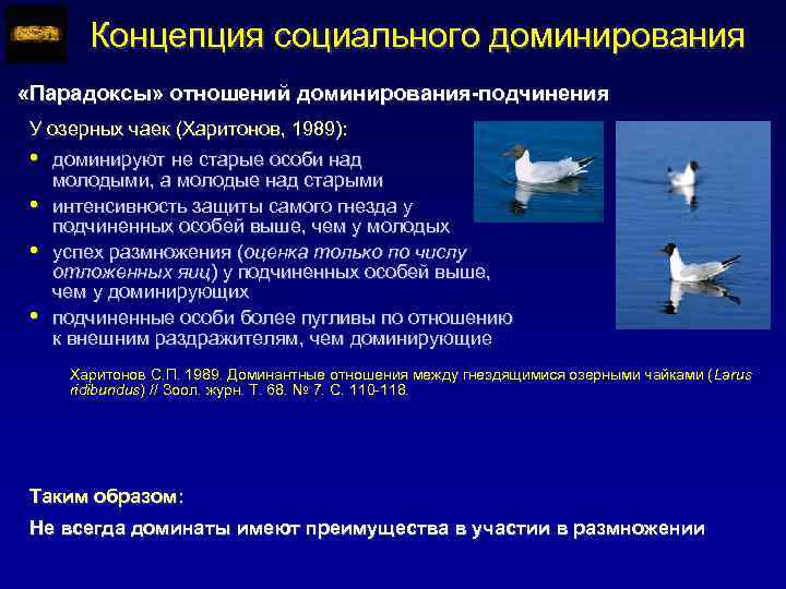 Отношения доминирования подчинения. Социальное доминирование. Властвовать и подчиняться теория?.