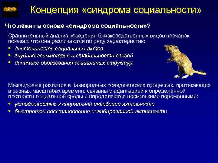 Концепция «синдрома социальности» Что лежит в основе «синдрома социальности» ? Сравнительный анализ поведения близкородственных