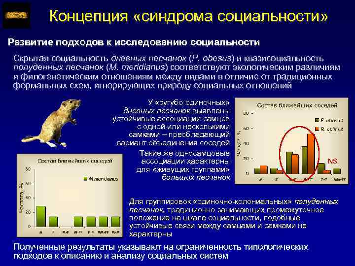 Концепция «синдрома социальности» Развитие подходов к исследованию социальности Скрытая социальность дневных песчанок (P. obesus)