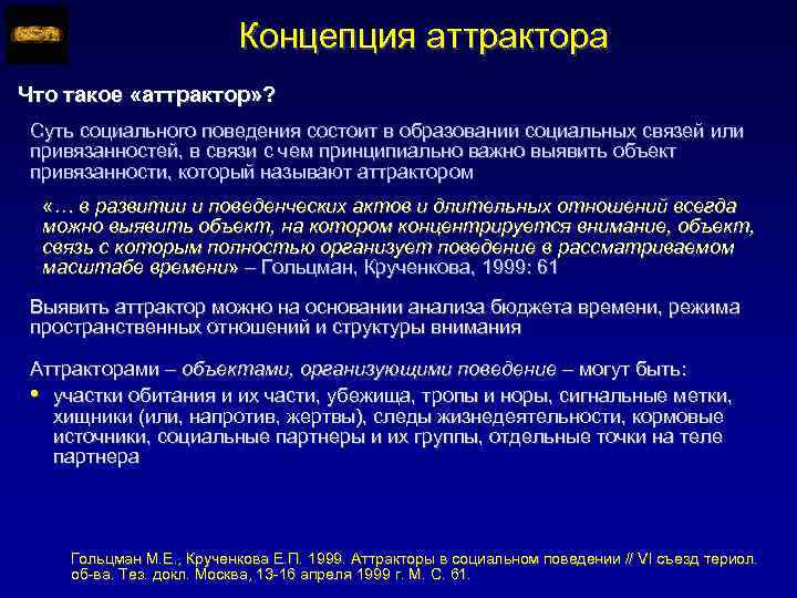 Концепция аттрактора Что такое «аттрактор» ? Суть социального поведения состоит в образовании социальных связей