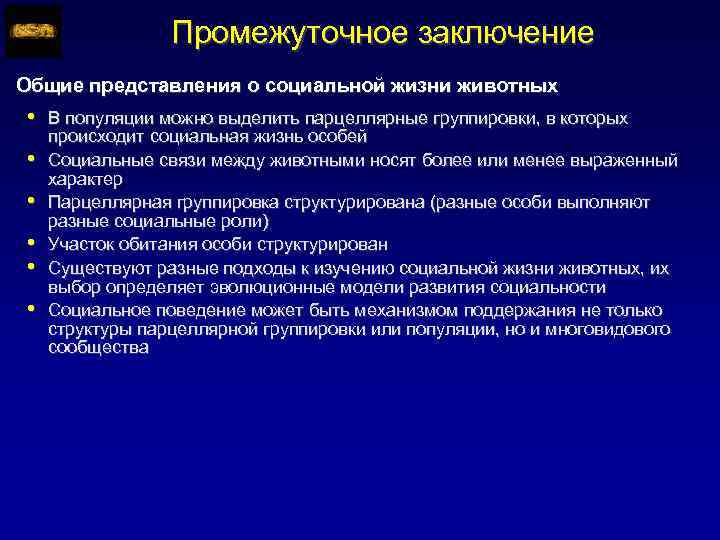 Промежуточное заключение Общие представления о социальной жизни животных • • • В популяции можно